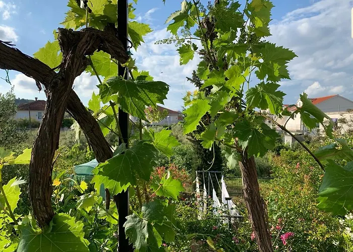 公寓 Marko 斯瑞瑟尔